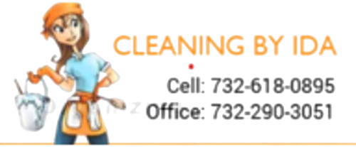 Cleaning by Ida